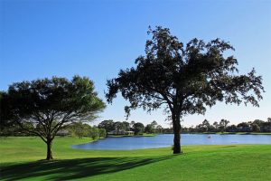 Bent Pine Golf Course Vero Beach