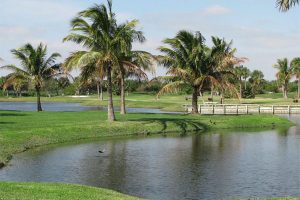 Moorings Golf Course Vero Beach